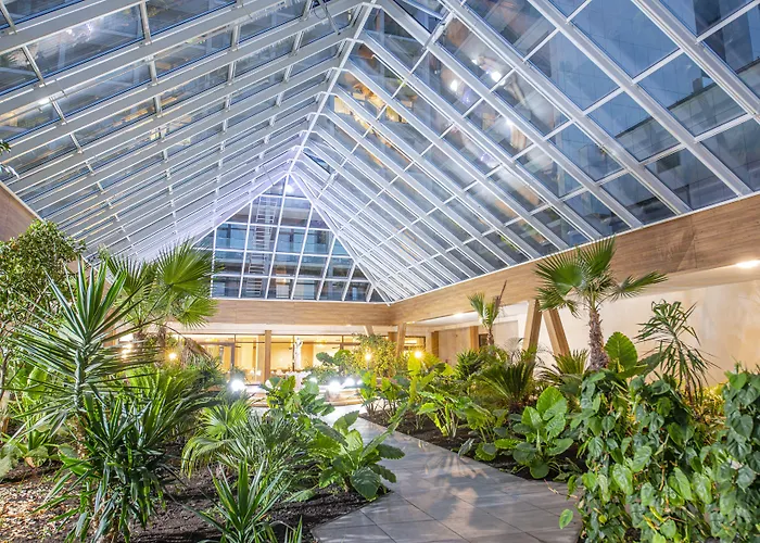 Olymp IV